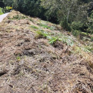 LOTE SOBRE VIA VEHÍCULAR